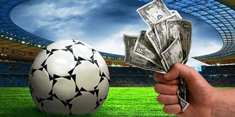 Cần có kỹ năng tổng hợp và từ đó đưa ra quyết định