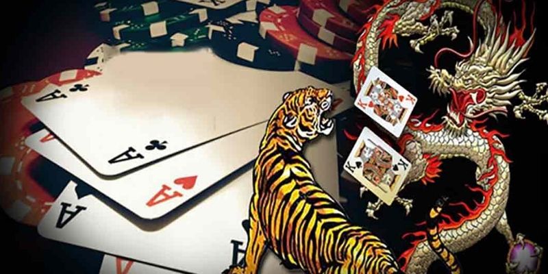 Hội viên nên hạn chế đặt cửa hòa để tránh thua lỗ