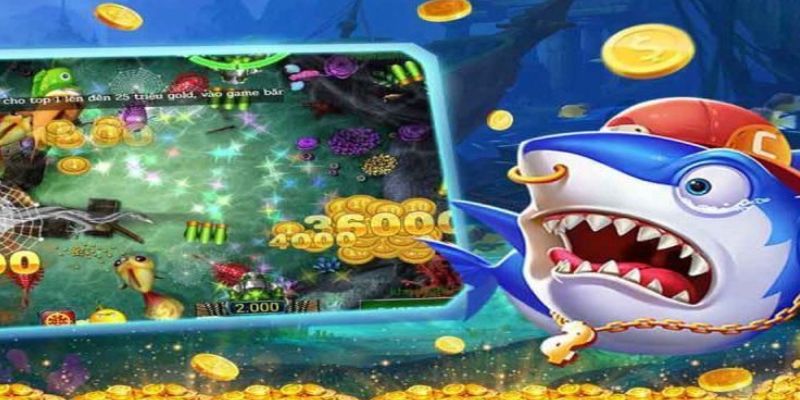 Một vài những điểm cần lưu ý khi tham gia săn ngư ăn tiền