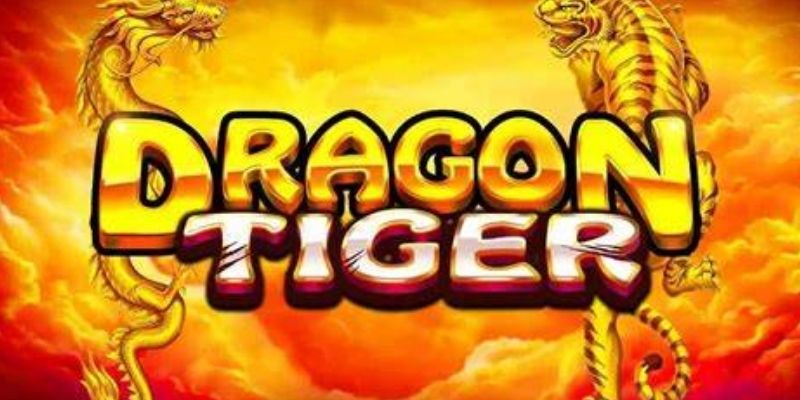 Quy tắc cơ bản trong Dragon Tiger