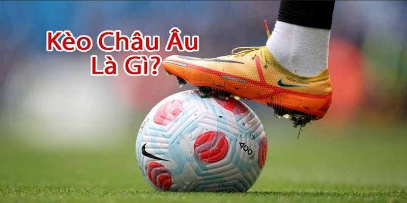 Đôi nét khái quát về cá độ bóng online