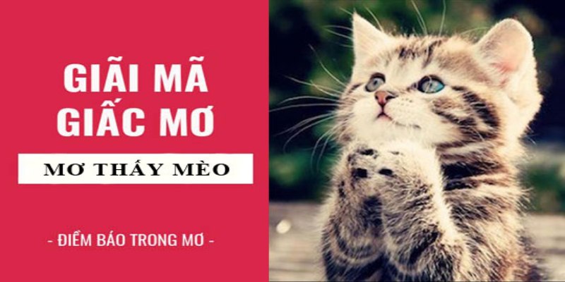 Giải mã giấc mộng đối với hội viên lô đề