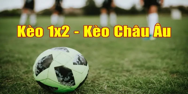 Luật cơ bản cược bóng Châu Âu cần nhớ