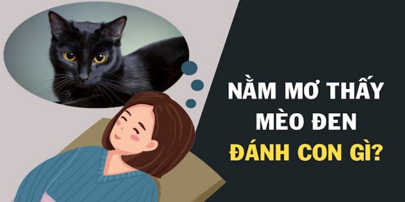 Phân loại chiêm bao thấy mèo khi ngủ