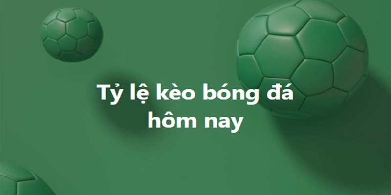 Tính tiền thưởng dựa vào tỷ lệ kèo cược